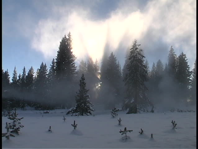 Sun rays shine above a winter snow scene.