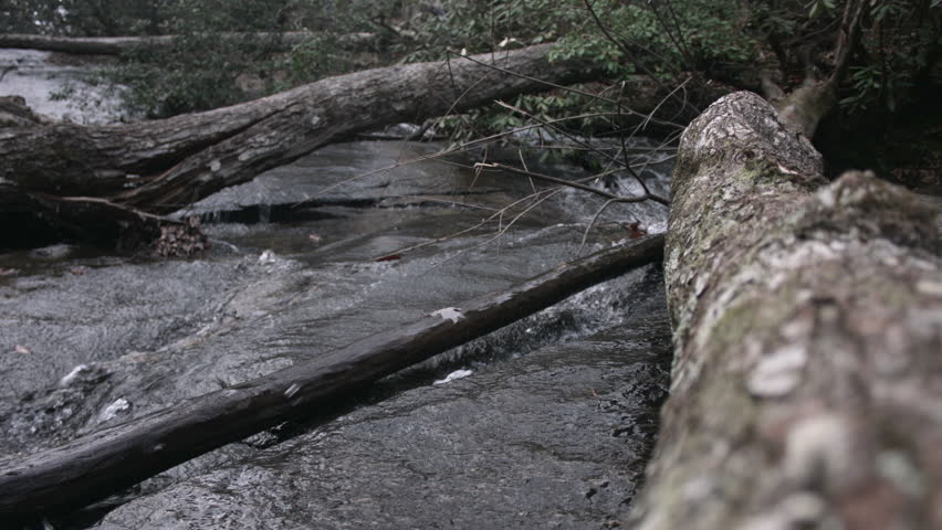 Mountain river wood