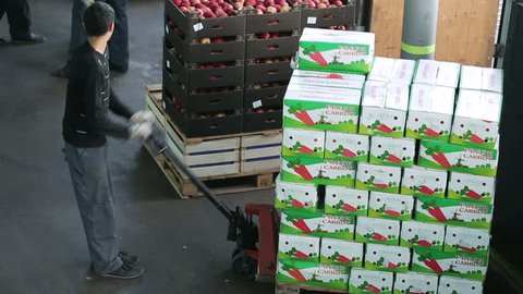 Russia, Novosibirsk - July 25, 2015: Worker of transport company unload pallets with boxes of goods from truck trailer. Order for eat. Company import foodstuffs for resale. Boxes with apples