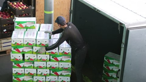 Russia, Novosibirsk - July 25, 2015: Emploee of transport company unload boxes of goods from trailer of truck. Order for carriage for eat. Company import foodstuffs for resale. Boxes with apples