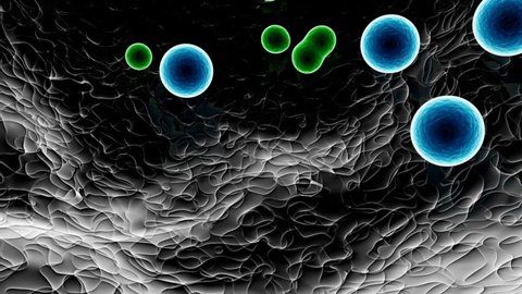 3d cell colors - video animation