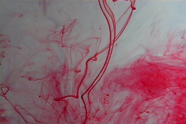 Red and blue ink elegantly flowing in a liquified chamber.