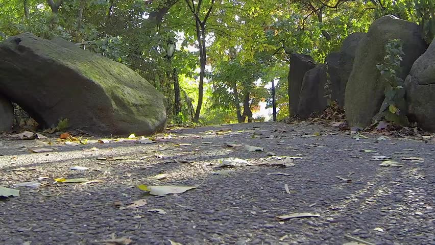 Rocky Walkway in Central Park
