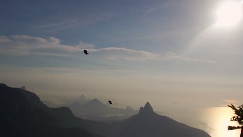 Wingsuit in Rio at Sunset