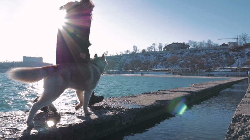 Young woman running in lights of sun with siberian husky on sea pier,slow motion
