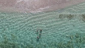 Aerial view of family swimming in caribbean waters