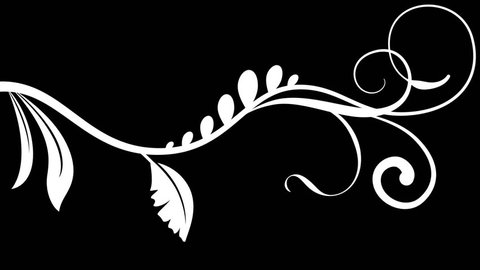 A collection of five white, growing vine flourish designs, isolated on black.