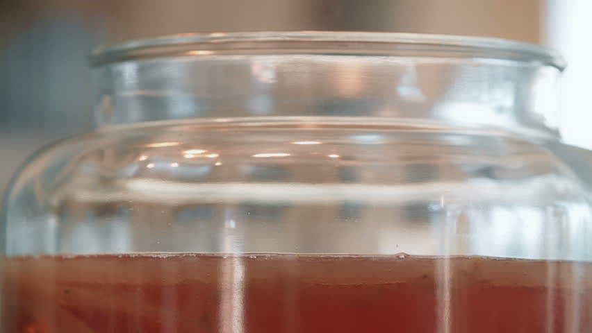 Kombucha SCOBY and Yeast Strains details in a big Jar | Shutterstock HD Video #14310007