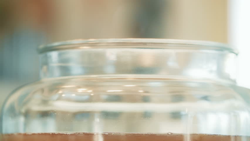 Kombucha SCOBY and Yeast Strains details in a big Jar | Shutterstock HD Video #14310016