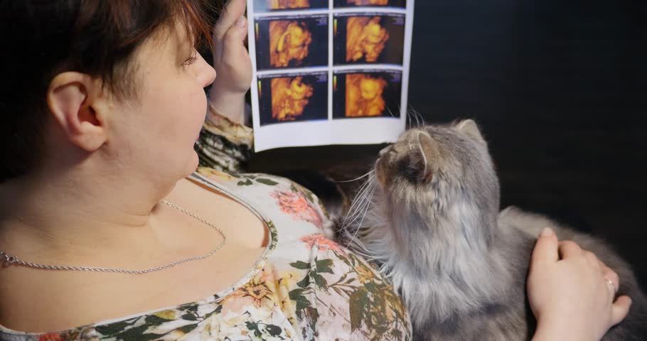 Young beautiful pregnant woman playing with her cat