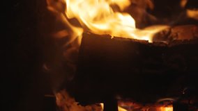 Wood in fire in the fireplace, HD 1080p video