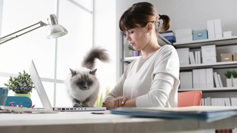 Young woman working with a laptop and caressing her beautiful cat on the desktop
