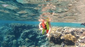 Slowmotion video. Young girl snorkeling in the Red sea.  The child with pleasure swimming in clean sea water.  The rich underwater world of the Red Sea, Egypt.