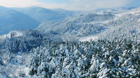 Aerial Snow Covered Trees Drone Footage Landscape Winter Nature Beautiful Europe Forest Mountain Travel White Famous Idyllic Tourism