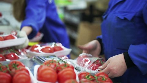 Worker wraps up containers with cling film with tomato. Grocery retailers and distribution. Close up indoors. Companies and providers of healthy food. Trader of retail and wholesale trade