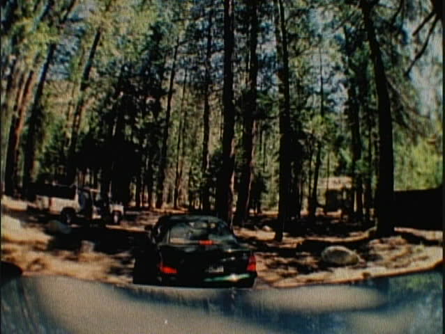 A dirt road leads through a forest.