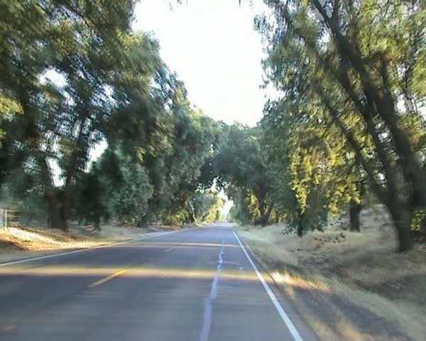 Road and cars.
