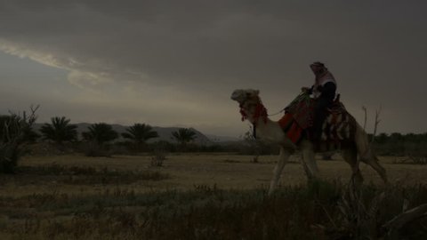 Arab male traditional headdress robe riding his camel over desert