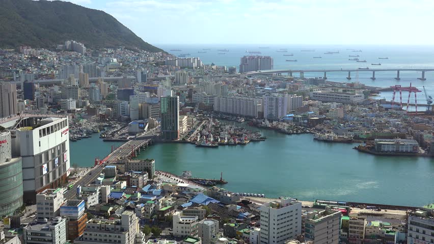 BUSAN, - OCTOBER 24:
Bird