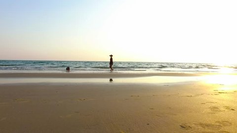 4k Happy woman with two french bulldog running , playing sand and sea on the beach enjoys in Sea Sunset. Video Stok