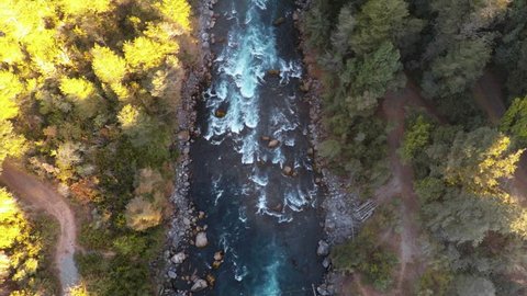 Wide overhead tracking shot looking directly down on deep blue river in summer flowing toward golden trees at sunrise in Patagonia Chile - 2K Aerial