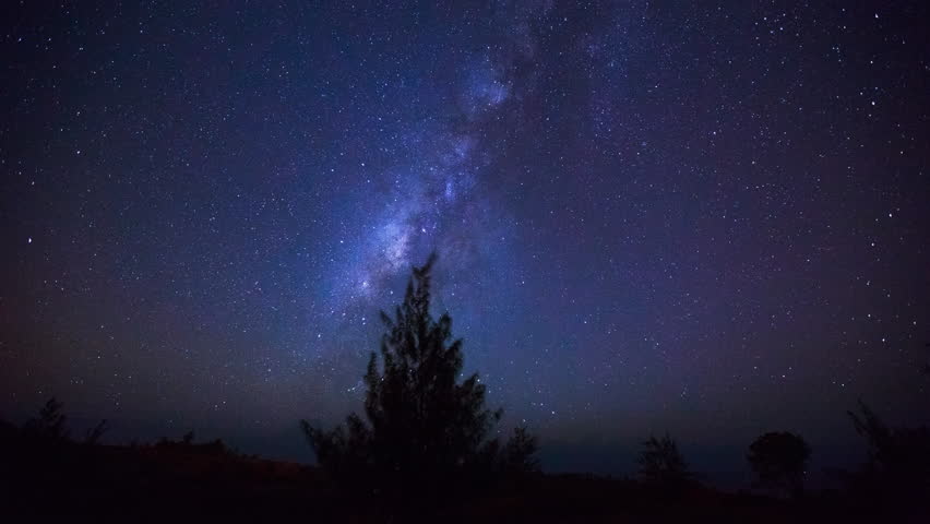 Time-lapse of the Milky Way rotating around a tree silhouette with an active sky of meteors, satellites and airplanes.