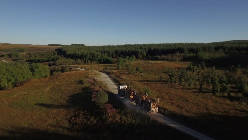 Aerial drone view of forestry operation.