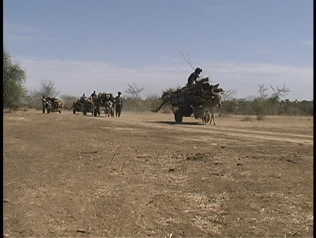 The shot zooms-in to a man with a cart, pulled by a burro, hauling wood along a dirt path in West Africa.