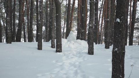 Snow man in winter forest covered by hard snow 