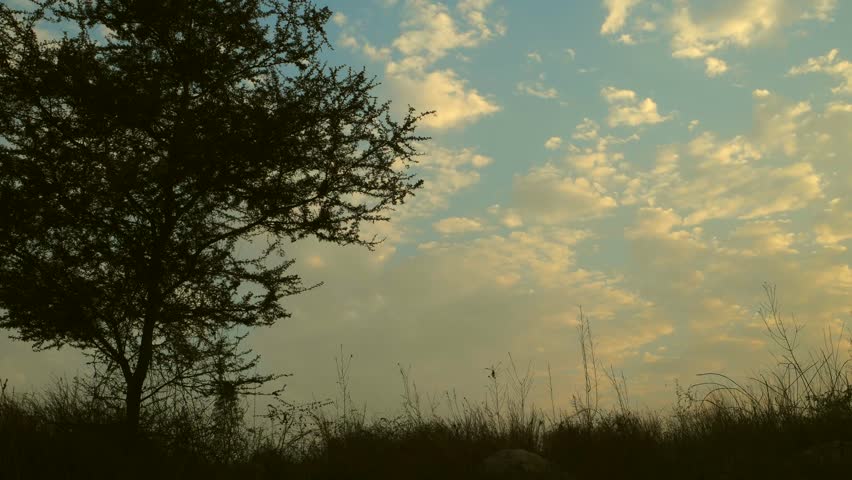 A breathtaking view of the moving clouds over a wide grassland being captured by a tourist on his mobile phone camera 