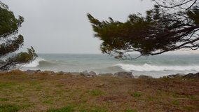 Storm wind, big sea waves and dramatic dark sky. Strong stormy winds bends trees. 