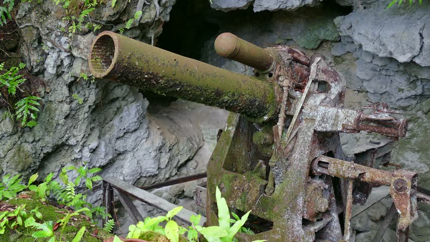 Old gun, cannon, weapon, Japanese artillery in jungle. Battle of Peleliu (Operation Stalemate II) fought between USA and the Empire of Japan in the Pacific Theater of World War II in 1944