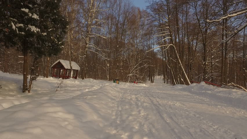 Snowy winter park