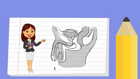353 Sexual intercourse anatomy Stock Video Footage - 4K and HD Video ...