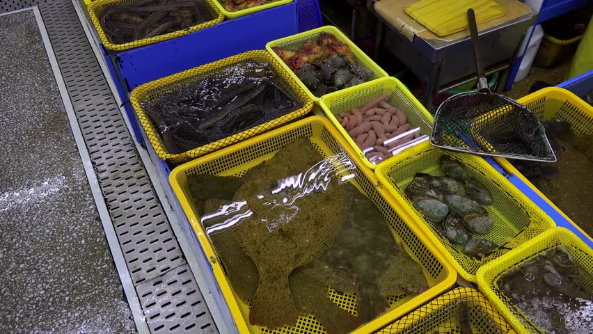 Live seafood at the Jagalchi Fish Market. Busan, South Korea
