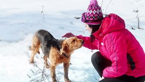 A young woman in the snow caresses a beautiful dog in slow motion, Dog Is Man's Best Friend, Slow Motion Video Clip