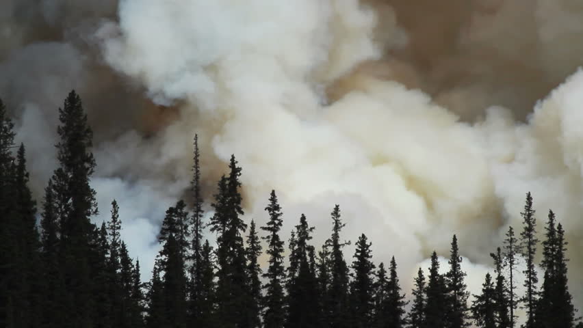 Forest fire with helicopter in the Rocky Mountains