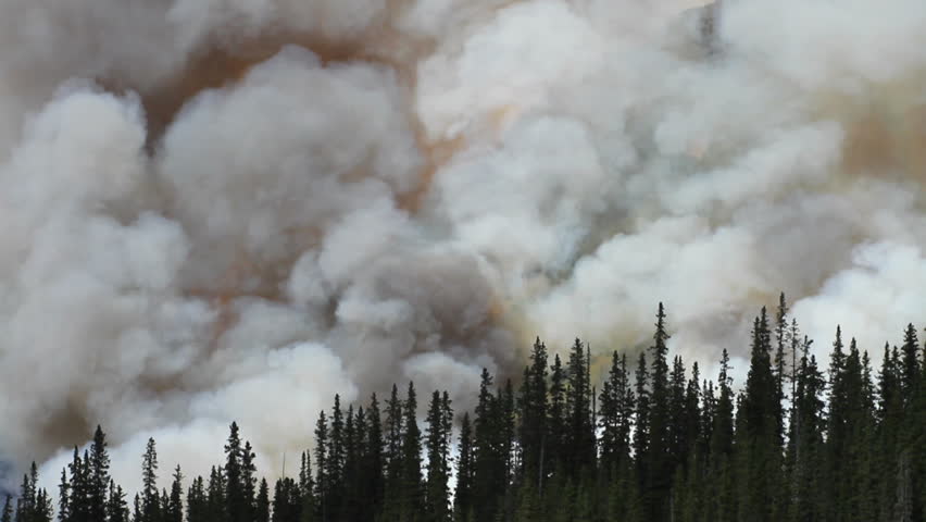 Forest fire with helicopter in the Rocky Mountains