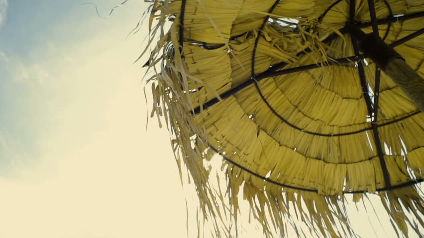 Beach umbrella in the hot season