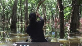 4K UHD video of flooded trees in mangrove rain forest. Kampong Phluk village. Cambodia