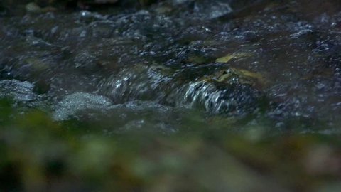 Slowmotion water rapid flows across the stones in river