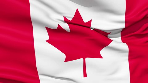 Realistic 3d seamless looping Canada flag waving in the wind.