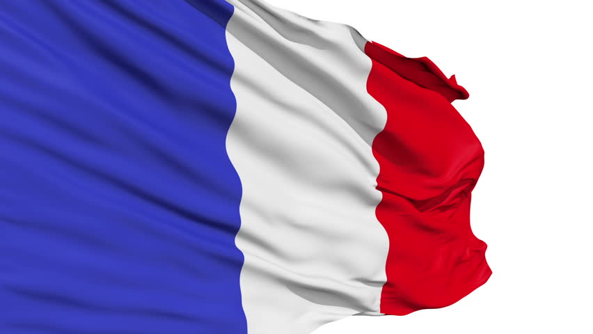 Realistic 3d seamless looping France flag waving in the wind.
