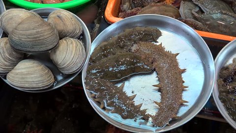 Alive seafood at the Jagalchi Fish Market (Trepang, Gaebul & Seashells). Busan, South Korea