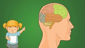 Brain anatomy study vector animation