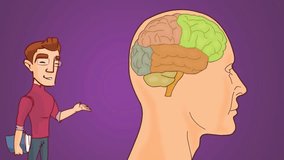 Brain anatomy study vector animation