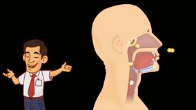 Nose anatomy study vector animation - Powered by Shutterstock - Get 15% off with code: PIKWIZARD15