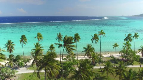 4K AERIAL CLOSE UP: Flying above fantastic white sandy beach with exotic lush palm trees facing big beautiful turquoise blue lagoon on tropical island in French Polynesia