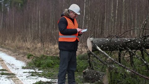 Forest inspector using tablet PC in destroyed forest