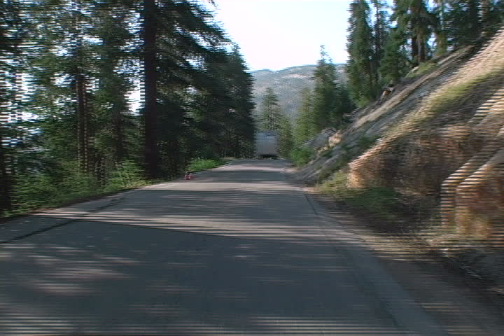 Chasing a semi-truck on a curvy road in pine country. 